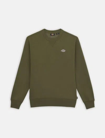 Dickies Female  Summerdale Sweatshirt - Dk0a4y6q Mgr1 Military Green