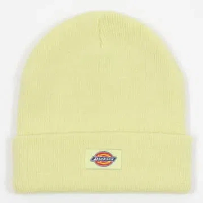 Dickies Gibsland Beanie In Pale Green