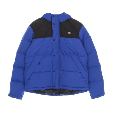 Dickies Glacier View Coat Men's Down Jacket True Blue