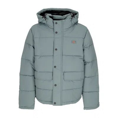 Dickies Glacier View Puffer Trooper Men's Down Jacket