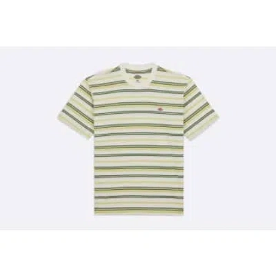 Dickies Glade Spring Tee Strip White In Gold