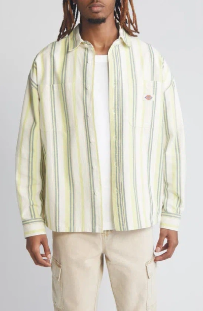 Dickies Glade Stripe Cotton Button-up Shirt In Various Stripes