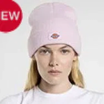 Dickies Hats In Purple