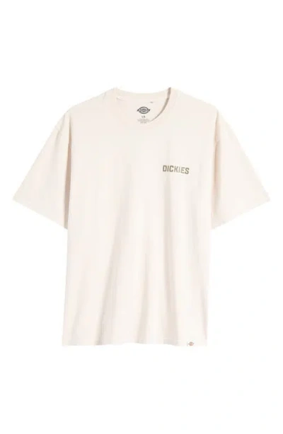 Dickies High Flying Cotton Graphic T-shirt In Cloud