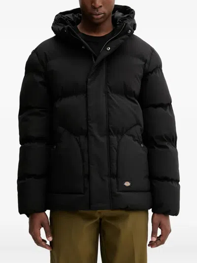 Dickies Hooded-neckline Padded Jacket In Black
