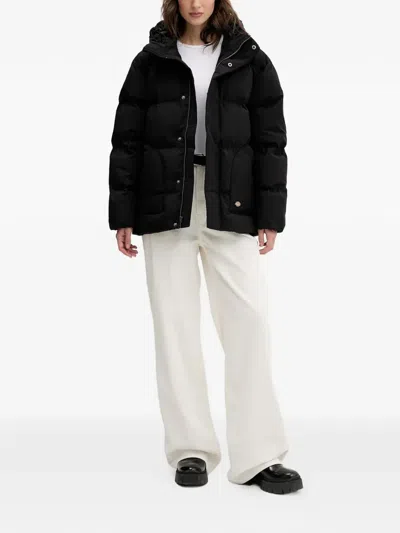 Dickies Hooded Puffer Jacket In Black