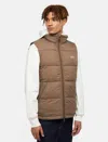 Dickies Jackets And Jackets Man  Waldenburg Vest - Dk0a4y2k Mr1 Mushroom In Brown