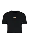 Dickies Maple Valley Logo Detail Cropped T-shirt