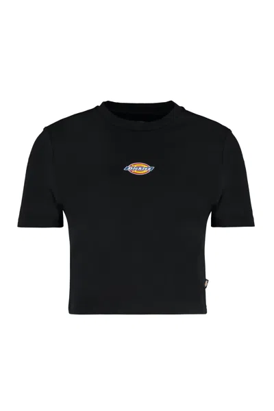 Dickies Maple Valley Logo Detail Cropped T-shirt In Black