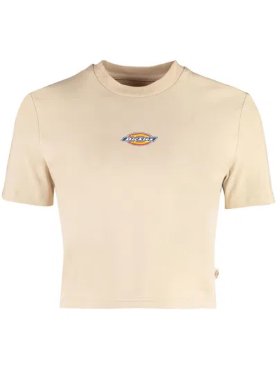 Dickies Valley Maple Logo T-shirt Cropped Crew In Beige