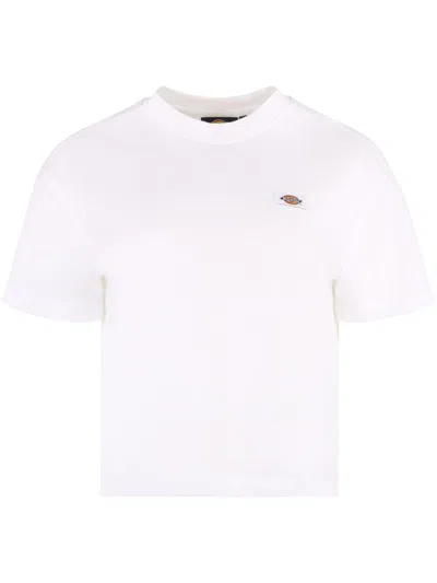 DICKIES OAKPORT T-SHIRT
