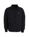 Dickies Overbrook Eisenhower Puffer In Black