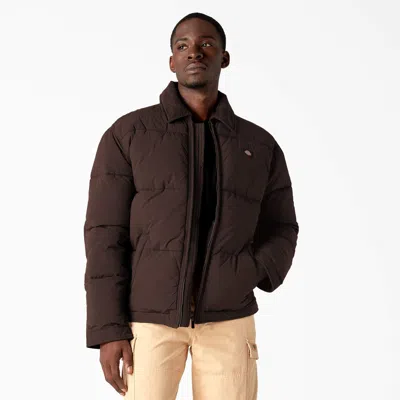 Dickies Overbrook Puffer Jacket In Brown