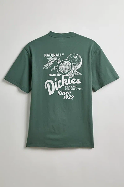 Dickies Raven Tee In Green, Men's At Urban Outfitters