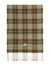 Dickies Stevensville Scarf