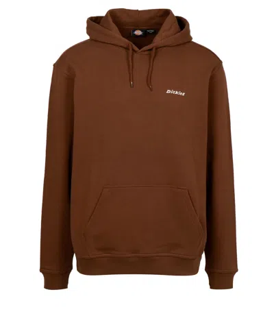 Dickies Sweaters Brown In Multi