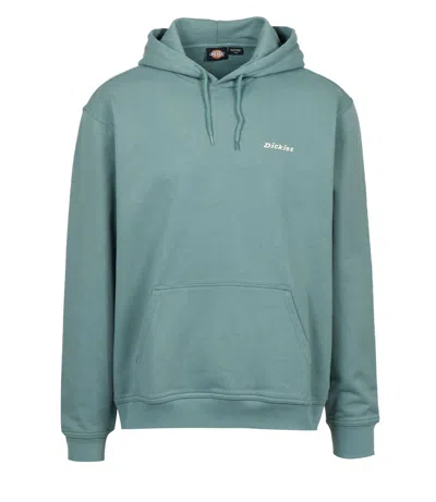 Dickies Sweaters Sage In Green