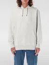 Dickies Summerdale Hoodie In Grau 1