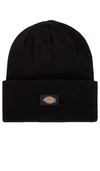 Dickies Tall Beanie In Black