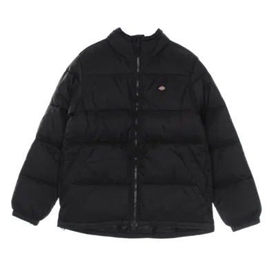 Dickies Waldenburg Jacket Men's Down Jacket Black