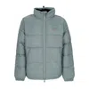 Dickies Waldenburg Jacket Trooper Men's Down Jacket In Trooper
