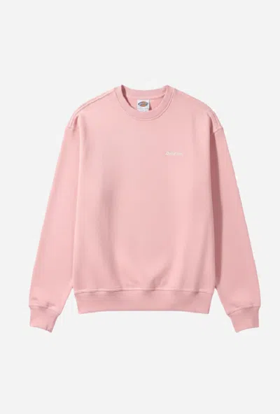 DICKIES WOMAN PINK