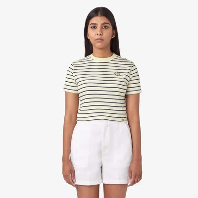 Dickies Women's Altoona Striped T-shirt In Pale Green