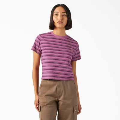 Dickies Women's Large Striped Cropped Pocket T-shirt In Pink