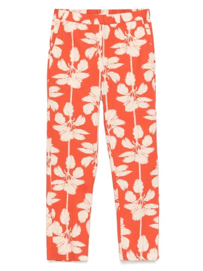 Diega Pacifico Trousers In Orange