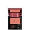 Diego Dalla Palma Powder Blush (various Shades) - Brick Red In Brick Red