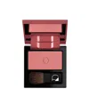 Diego Dalla Palma Powder Blush (various Shades) - Dusty Rose In Dusty Rose