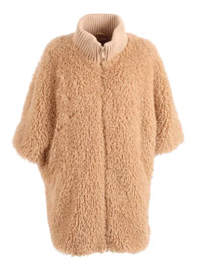 Diego M Mantella In Neutral