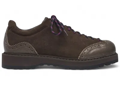 Pre-owned Diemme Men's  Ampezzo Wing Brown Suede Sneakers In Dark Brown