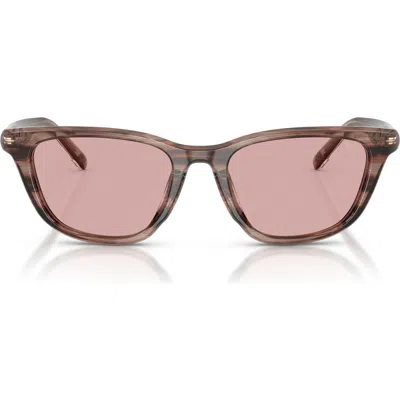 Diesel ® 52mm Cat Eye Sunglasses In Brown
