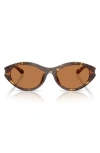 Diesel ® 53mm Oval Sunglasses In Havana/solid Brown