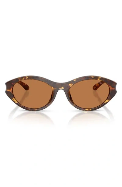 Diesel ® 53mm Oval Sunglasses In Havana/solid Brown