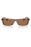 Diesel ® 54mm Rectangular Sunglasses In Brown