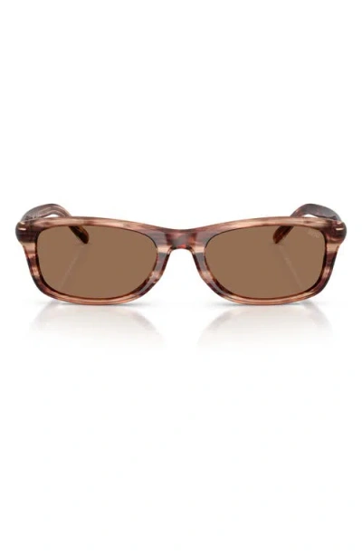 Diesel ® 54mm Rectangular Sunglasses In Brown