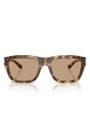 Diesel ® 55mm Gradient Square Sunglasses In Havana/solid Brown