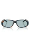 Diesel ® 55mm Oval Sunglasses In Blue