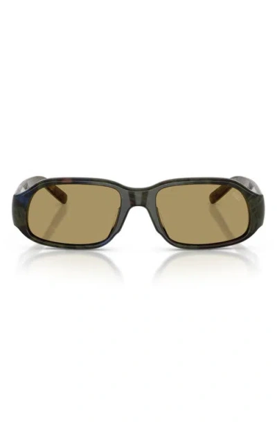 Diesel ® 55mm Oval Sunglasses In Brown