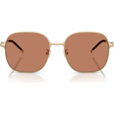 Diesel ® 55mm Square Sunglasses In Gold