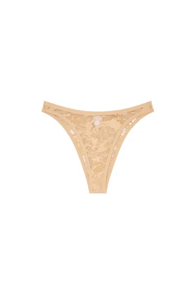 Diesel Camo Lace Briefs With Oval D Plaque In Brown