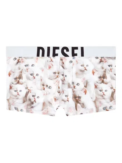 Diesel Damien Kitten-print Briefs In Multi