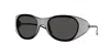 Diesel Iconic Oval Sunglasses In Black