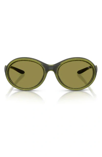 Diesel ® Dl3009u 55mm Oval Sunglasses In Green