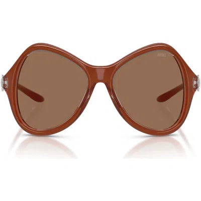 Diesel ® Dl3010u 53mm Cat Eye Sunglasses In Brown