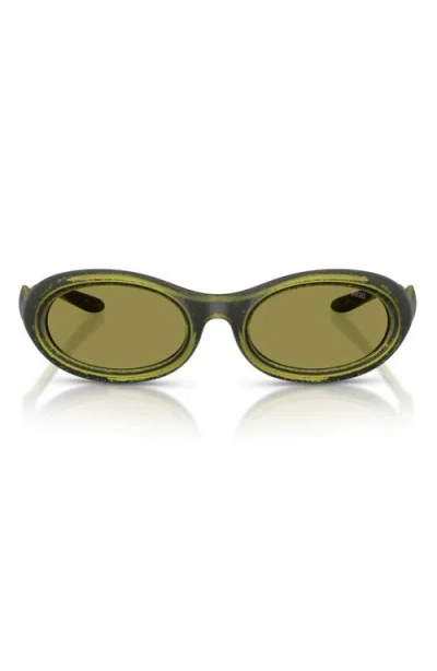 Diesel ® Dl3011u 51mm Oval Sunglasses In Green