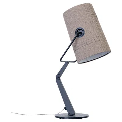 Pre-owned Diesel Fork Table Lamp In Anthracite-gray By  Living With Lodes In Transparent