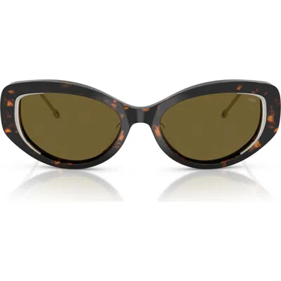 Diesel ® Geck-d 54mm Oval Sunglasses In Shiny Havana/brown
